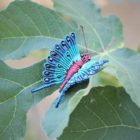 broche originale femme papillon bleu